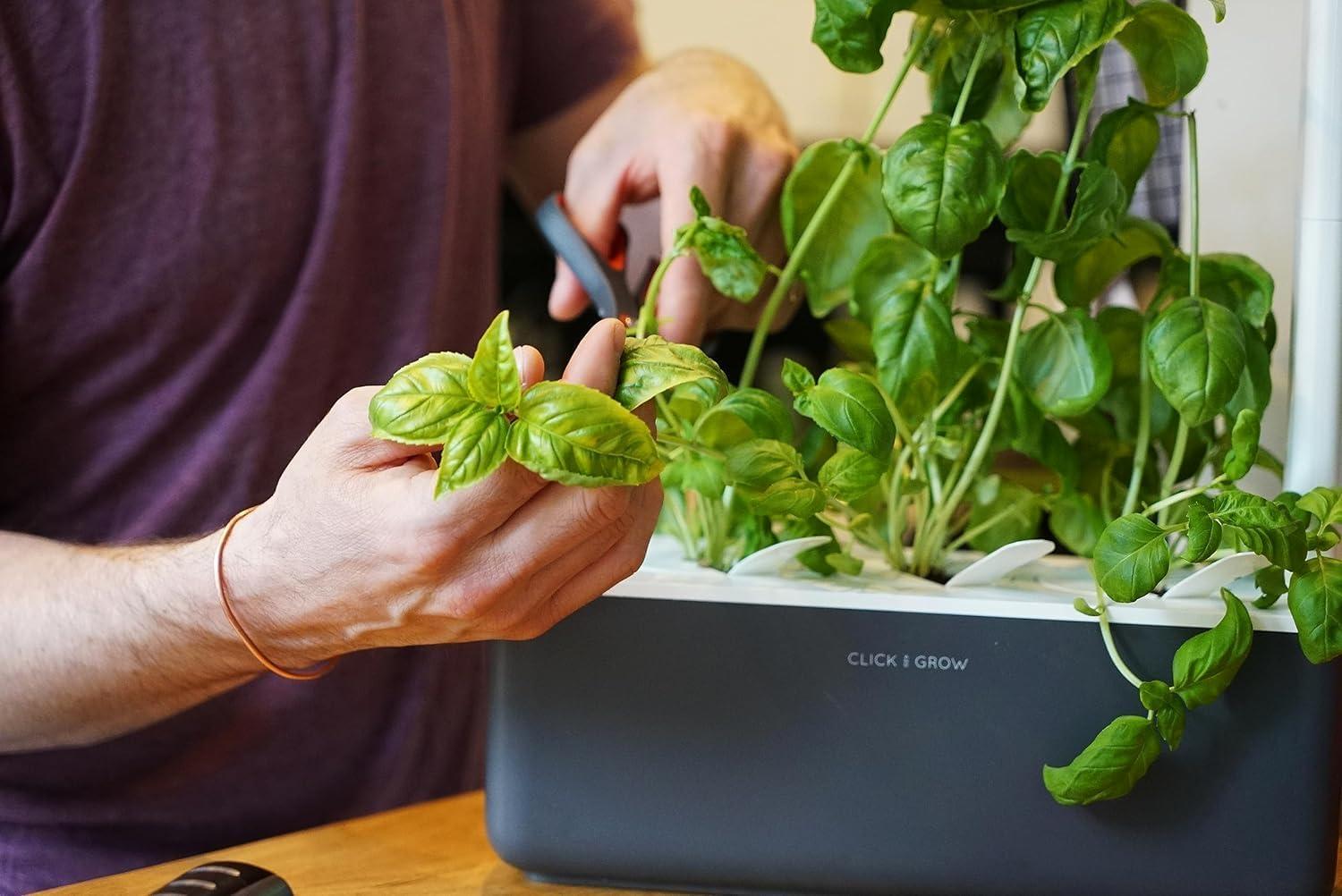 Grey Indoor Herb Garden Kit with LED Grow Light