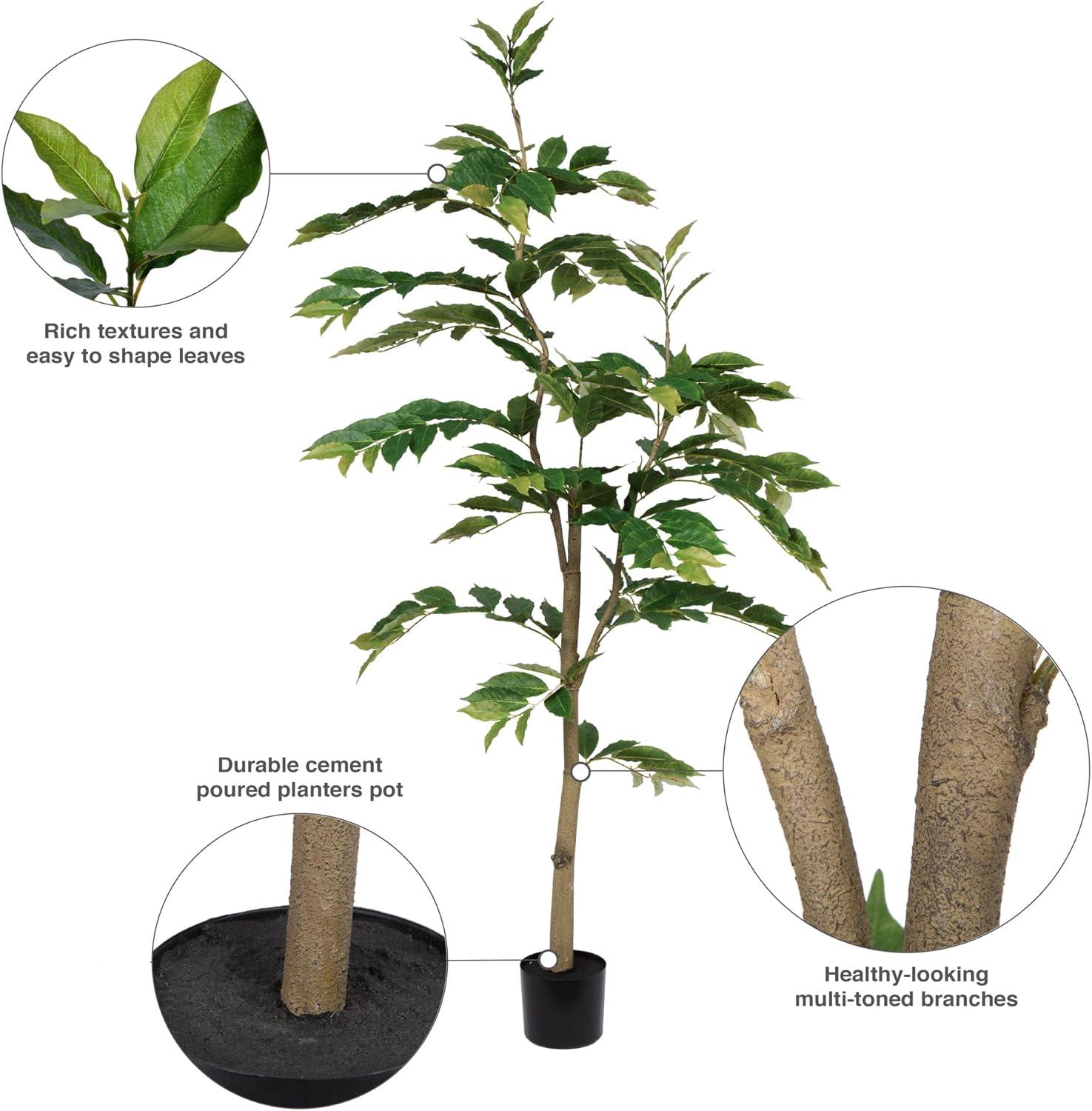 6 in. Potted N & Ina Tree with 284 Leave, Green