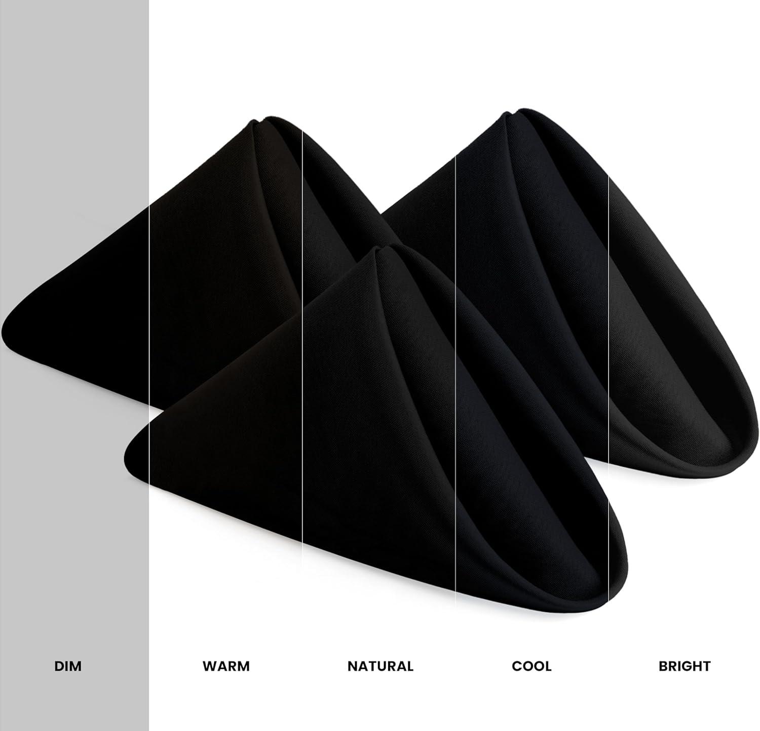 Craft And Party, Black Cloth Napkins - 12 Pack, 20x20 Inch Polyester Dinner Napkins with Hemmed Edges, Washable Napkins Great uses for Weddings, Dinners and Parties