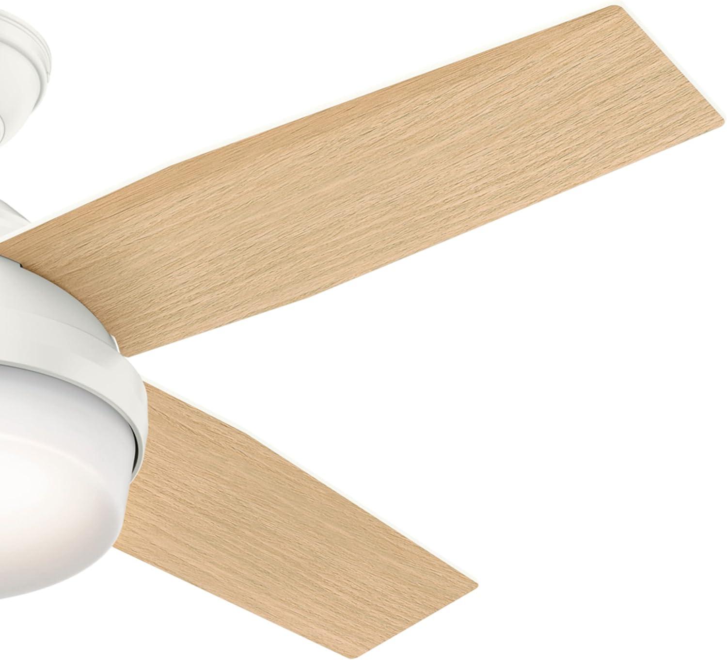 Dempsey 44" 4 - Blade Standard Ceiling Fan with Lights and Remote