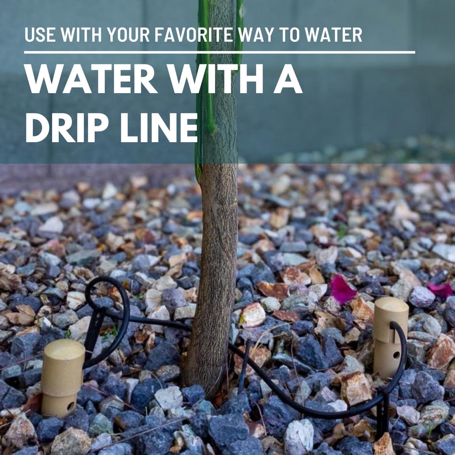 24 in. Watering Stake (3-Pack)