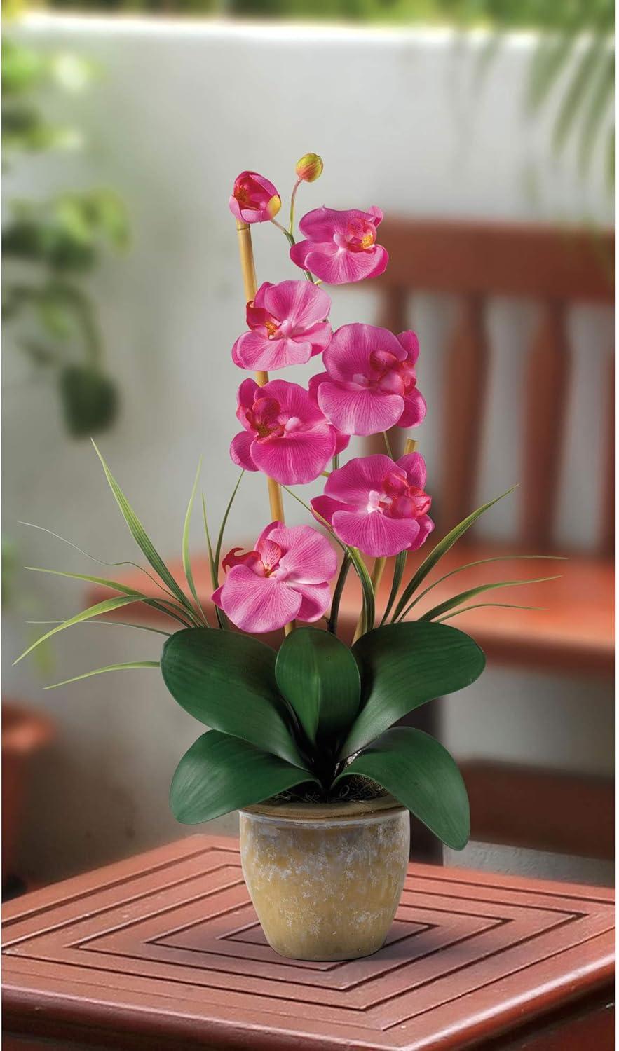 Nearly Natural Phalaenopsis Silk Orchid Flower Arrangement, Dark Pink