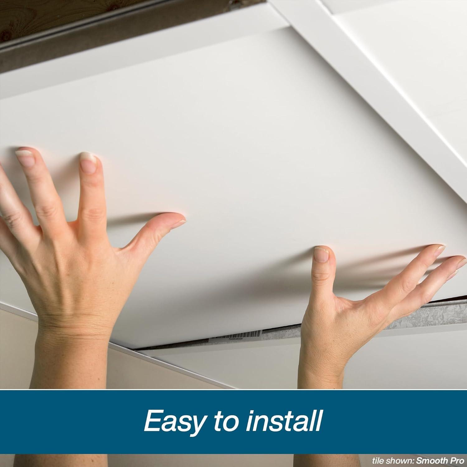 Genesis 2ft x 4ft Printed Pro Ceiling Tiles - Easy Drop-in Installation - Waterproof, Washable and Fire-Rated - High-Grade PVC to Prevent Breakage - Package of 10 Tiles