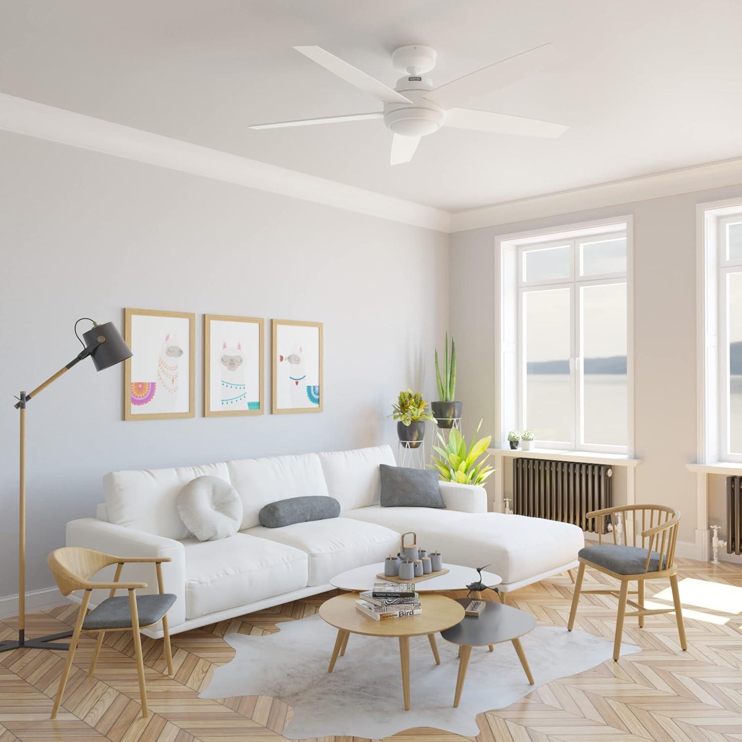 52" Zayden 5 - Blade Ceiling Fan With Lights and Remote