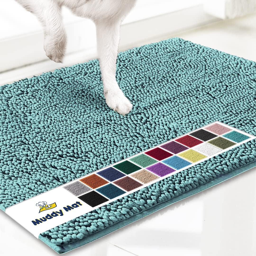 Muddy Mat Highly Absorbent Soft Chenille Door Mat and Pet Rug Non Slip Thick Washable Mat for Indoor and Outdoor-Seafoam Green Medium 19"x30"