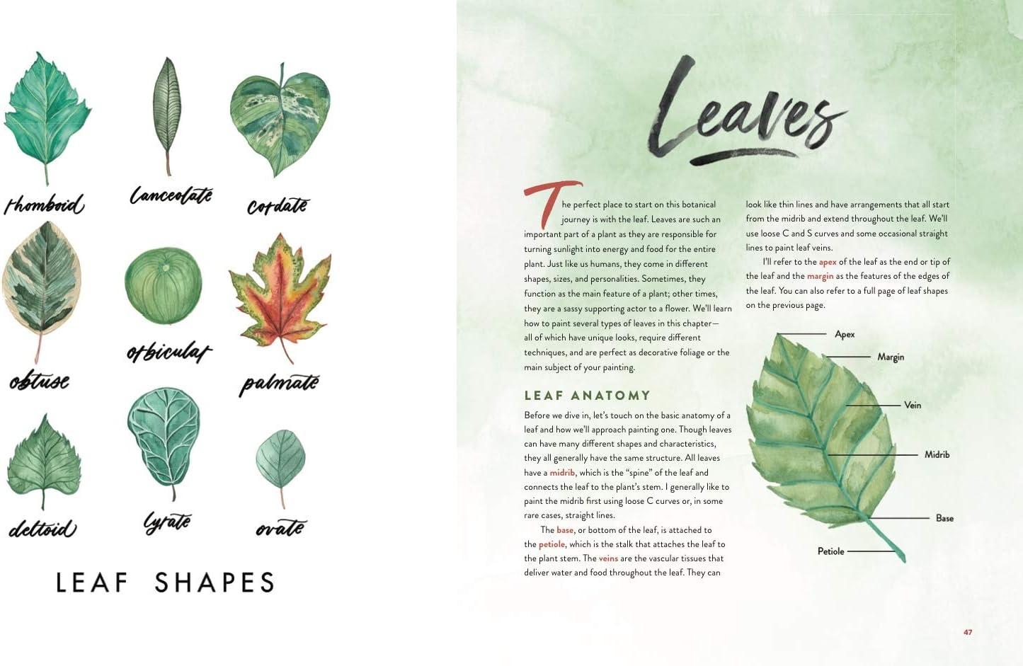 Watercolor Botanicals Guide: Learn to Paint Plants and Florals