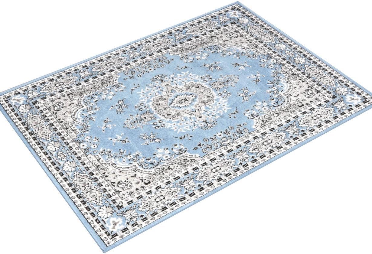 Home Dynamix Premium Sakarya Traditional Medallion Area Rug