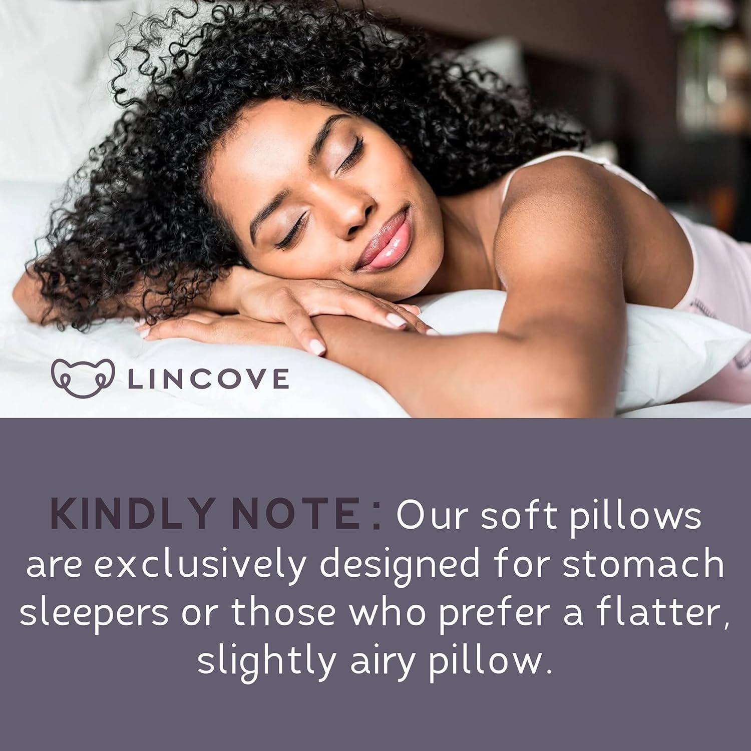 Lincove Signature 100% Canadian Down Luxury Sleeping Pillow - 800 Fill Power, 500 Thread Count Cotton Shell, Standard - Soft, 2 Pack