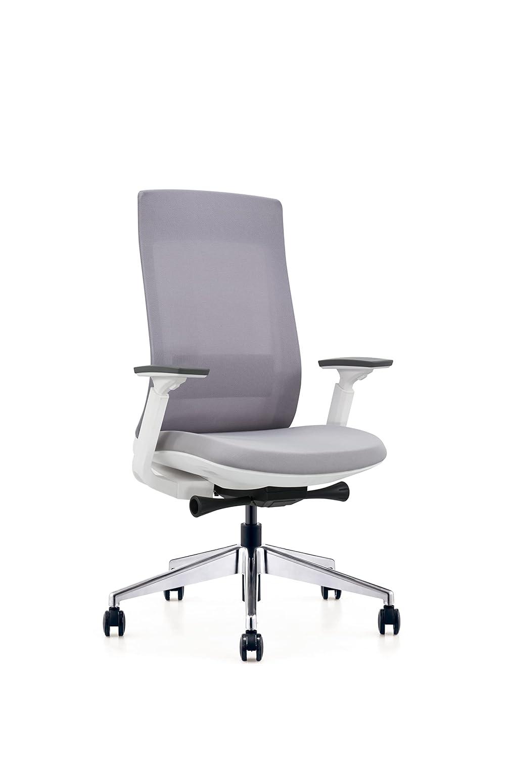 Eurotech Elevate Ergonomic Adjustable Office Chair, White Frame Gray Mesh