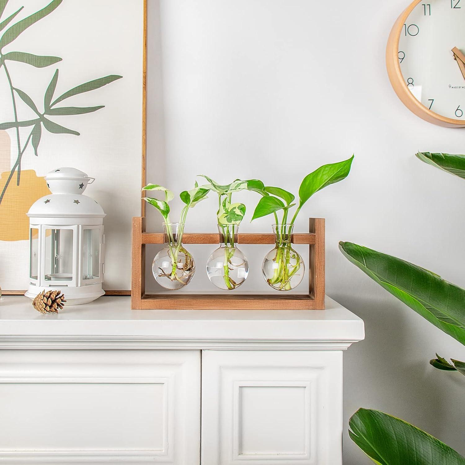 Plant Propagation Station,Plant Terrarium,Plant Starter,Gifts for Plant Lovers,Glass Bulb Terrarium with Retro Solid Wooden Stand for Hydroponics Plants Home Garden Wedding Décor (3 Bulbs)