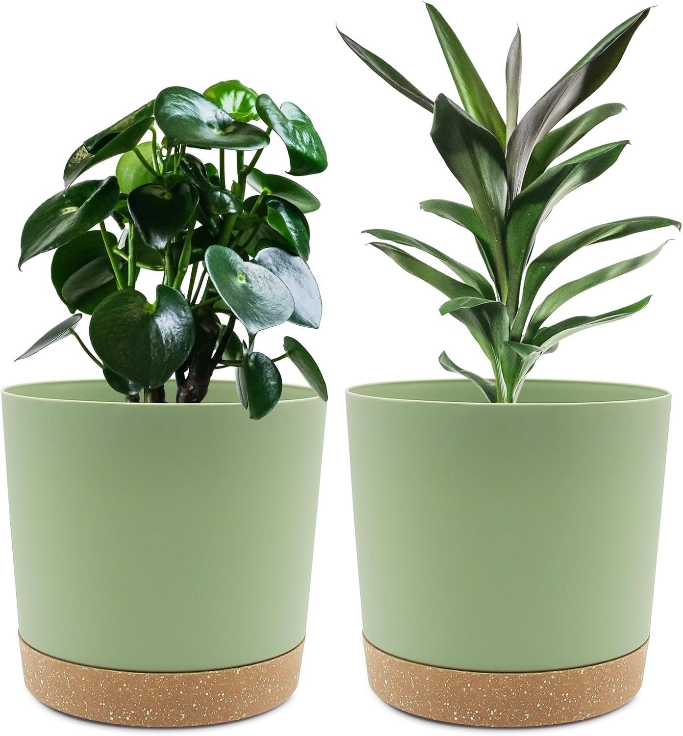 QLFSCXG Plant Pots Set of 2 Pack 8 inch,Planters for Indoor Plants with Drainage Holes and Removable Base (Green)