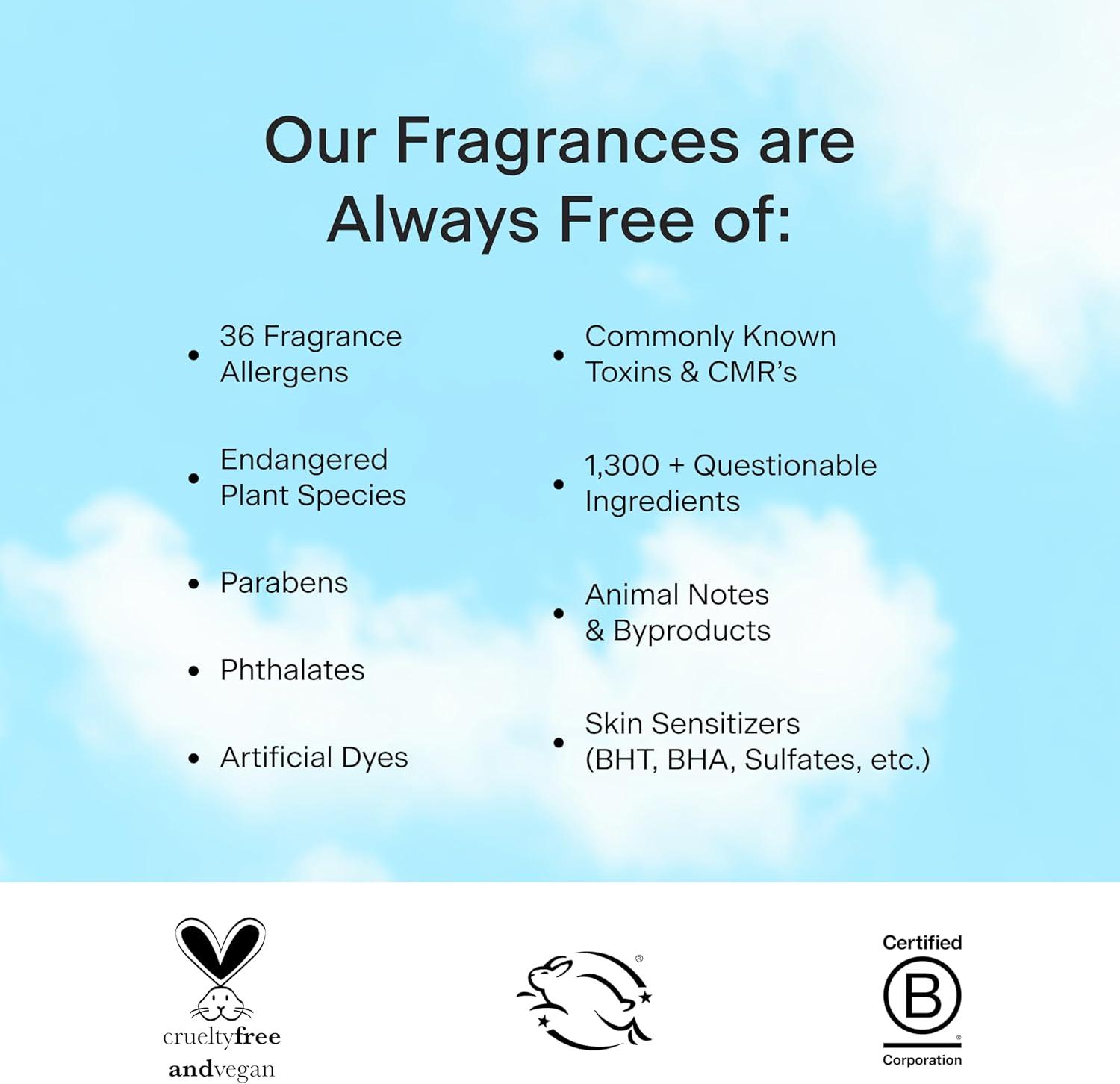 Skylar Coconut Cove Candle, Non-Toxic Clean-Burning Candles with Soy Coconut Wax, Fresh Soy Candles for Home, Scented Candles USA Made & Hand-Poured