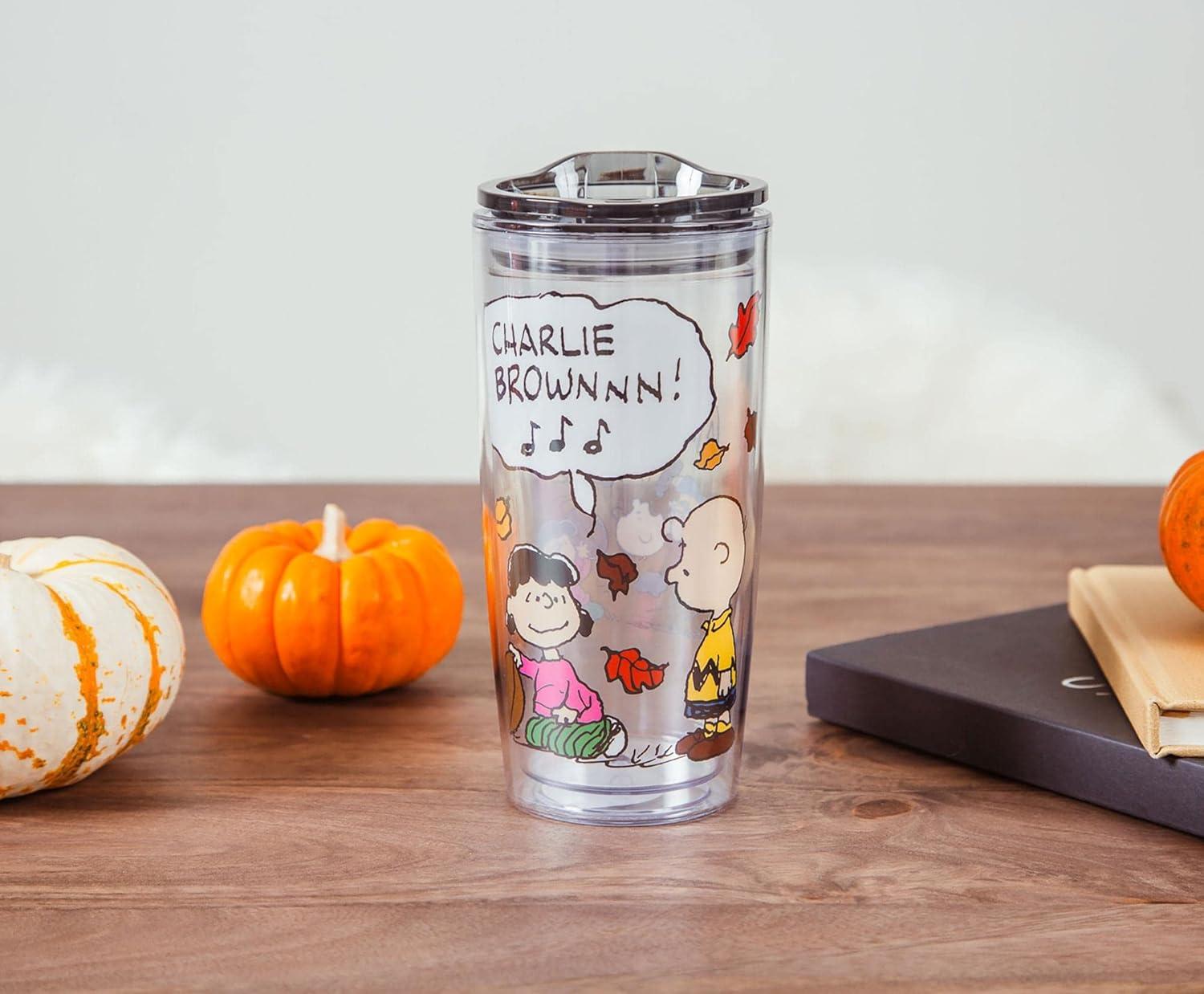 Silver Buffalo Peanuts Charlie 20 Oz. Plastic Pint Glass | Wayfair