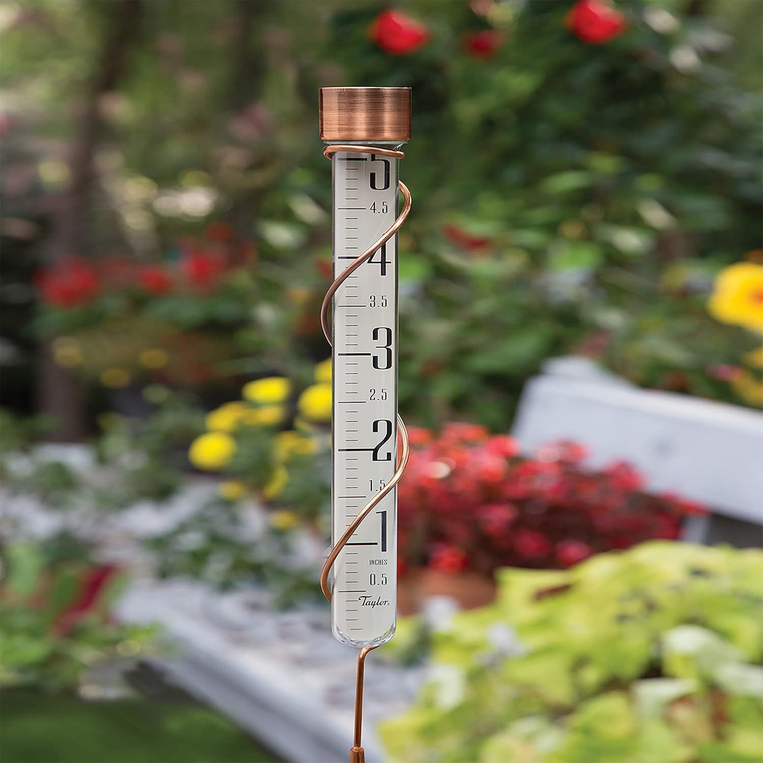 Taylor Heritage Collection Glass Rain Gauge, 5 Inch Capacity, Bronze