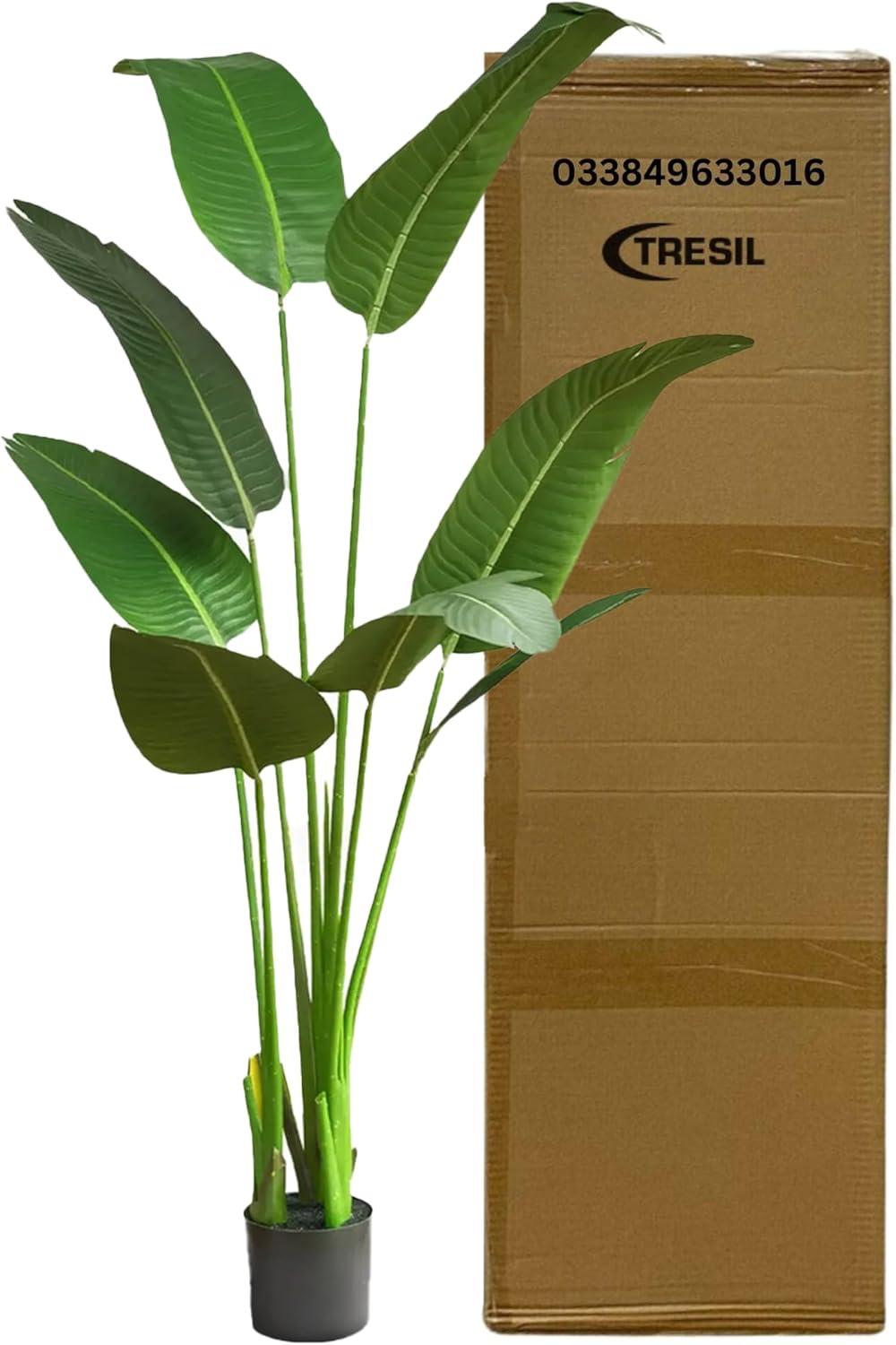 Bagari One 5 Foot Artificial Silk Bird of Paradise Palm Tree Potted Plant