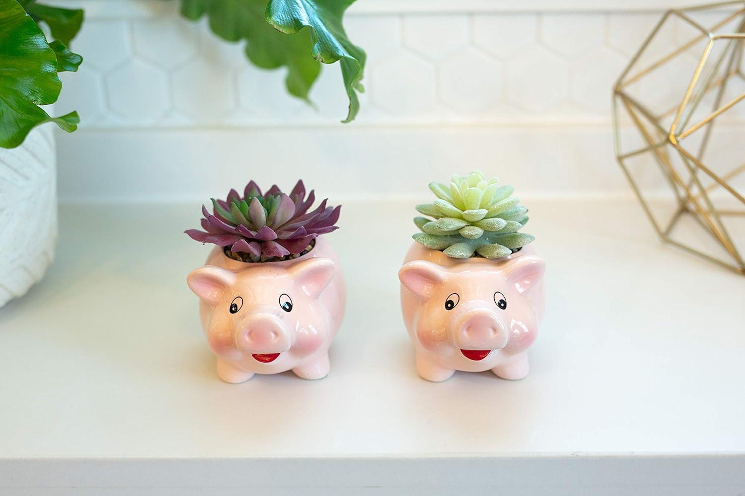 Flora Bunda Set of 2 Artificial Succulents in Pink Ceramic Pig Planters