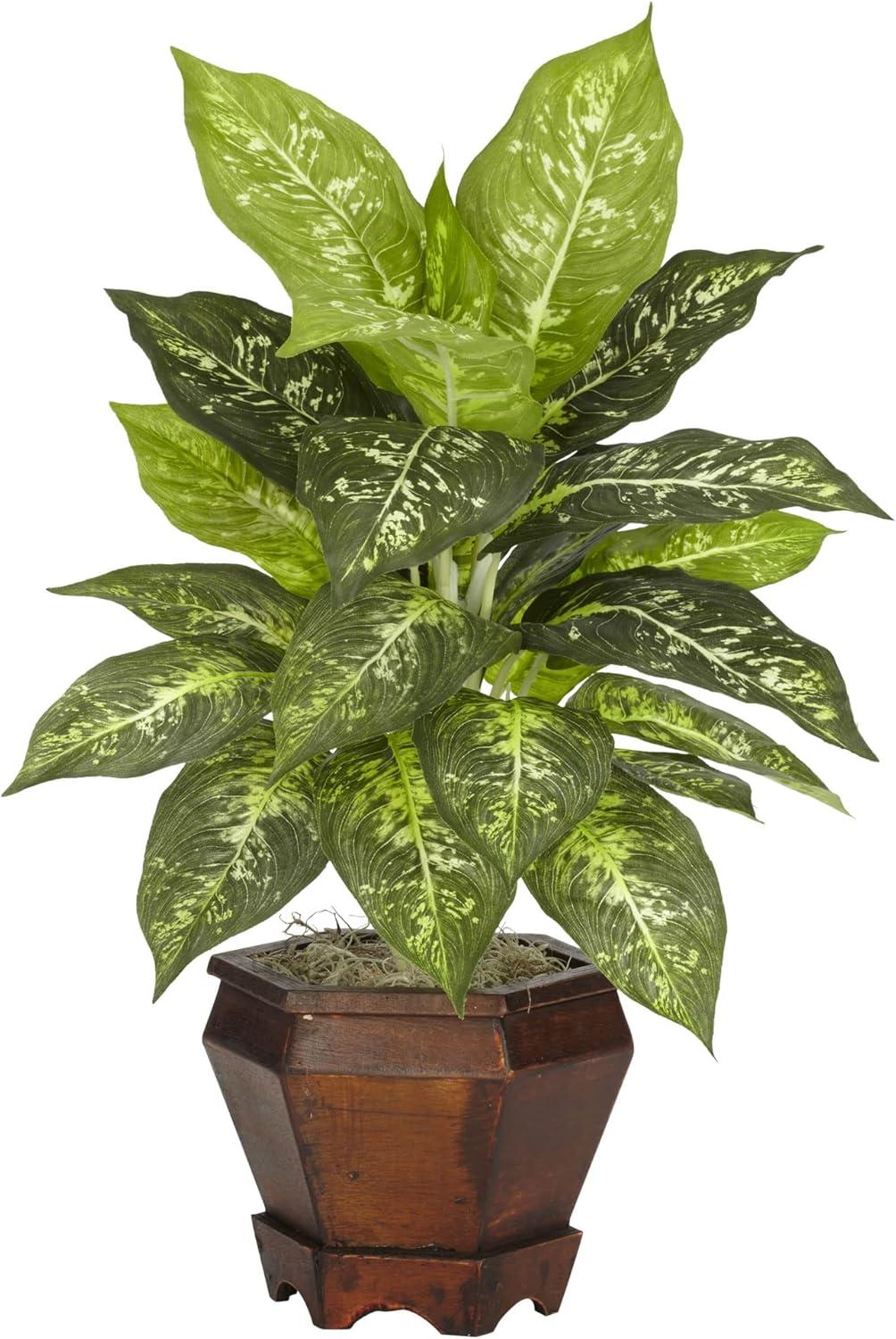 Nearly Natural Dieffenbachia with Wood Vase Silk Plant (Set of 2), Assorted