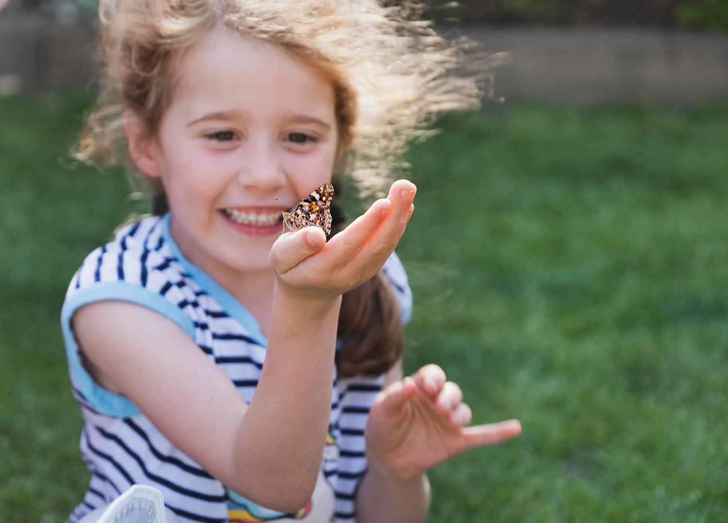 Butterfly Farm Kit with Live Caterpillars and Habitat