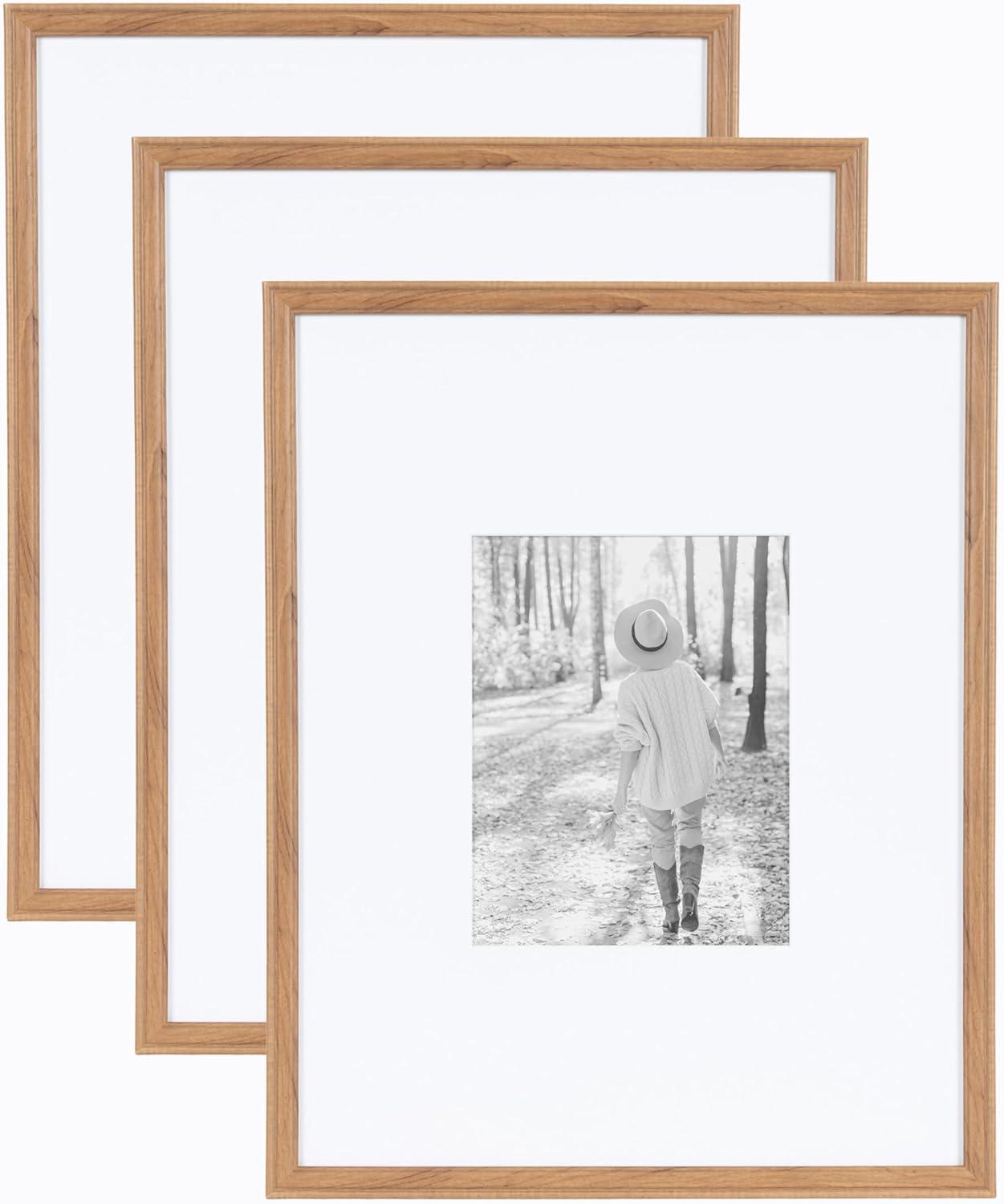 Adlynn Brown 16x20 Polystyrene Rectangle Picture Frame Set