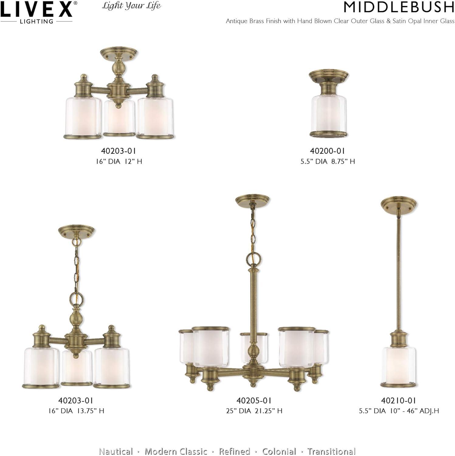 Middlebush 5-Light Polished Nickel Chandelier with Double Glass Shades