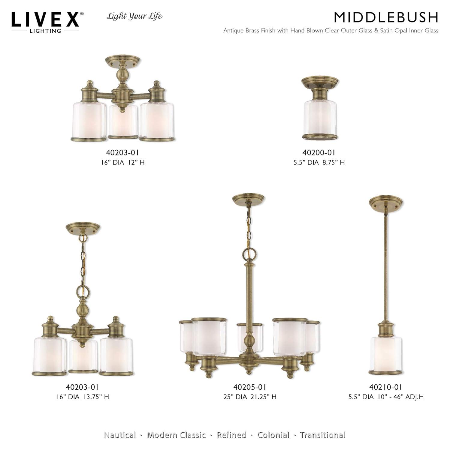 Middlebush 5-Light Polished Nickel Chandelier with Double Glass Shades