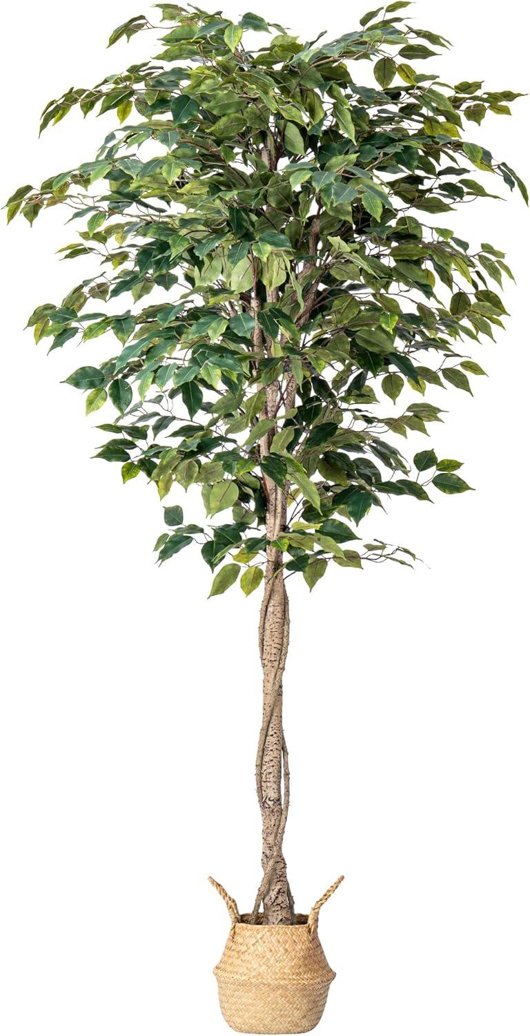 6' Green Artificial Ficus Tree with Lifelike Trunk and Leaves