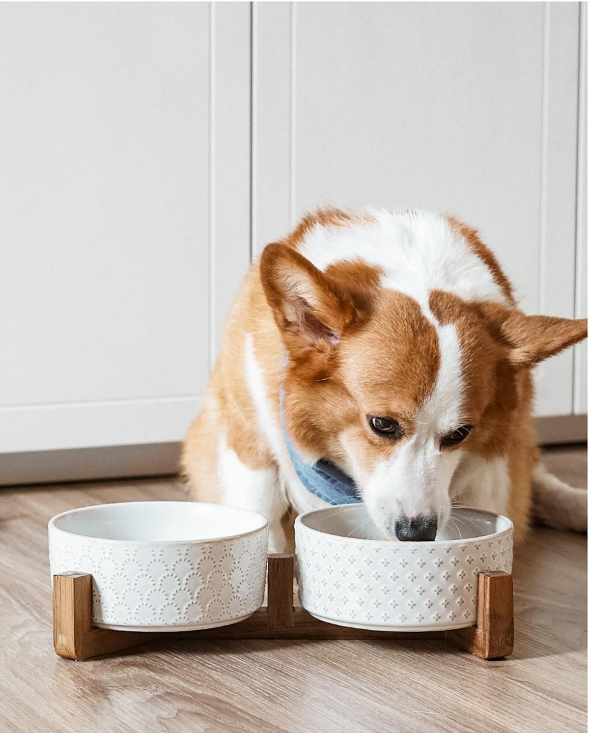 7 Inches Dog Food and Water Bowl