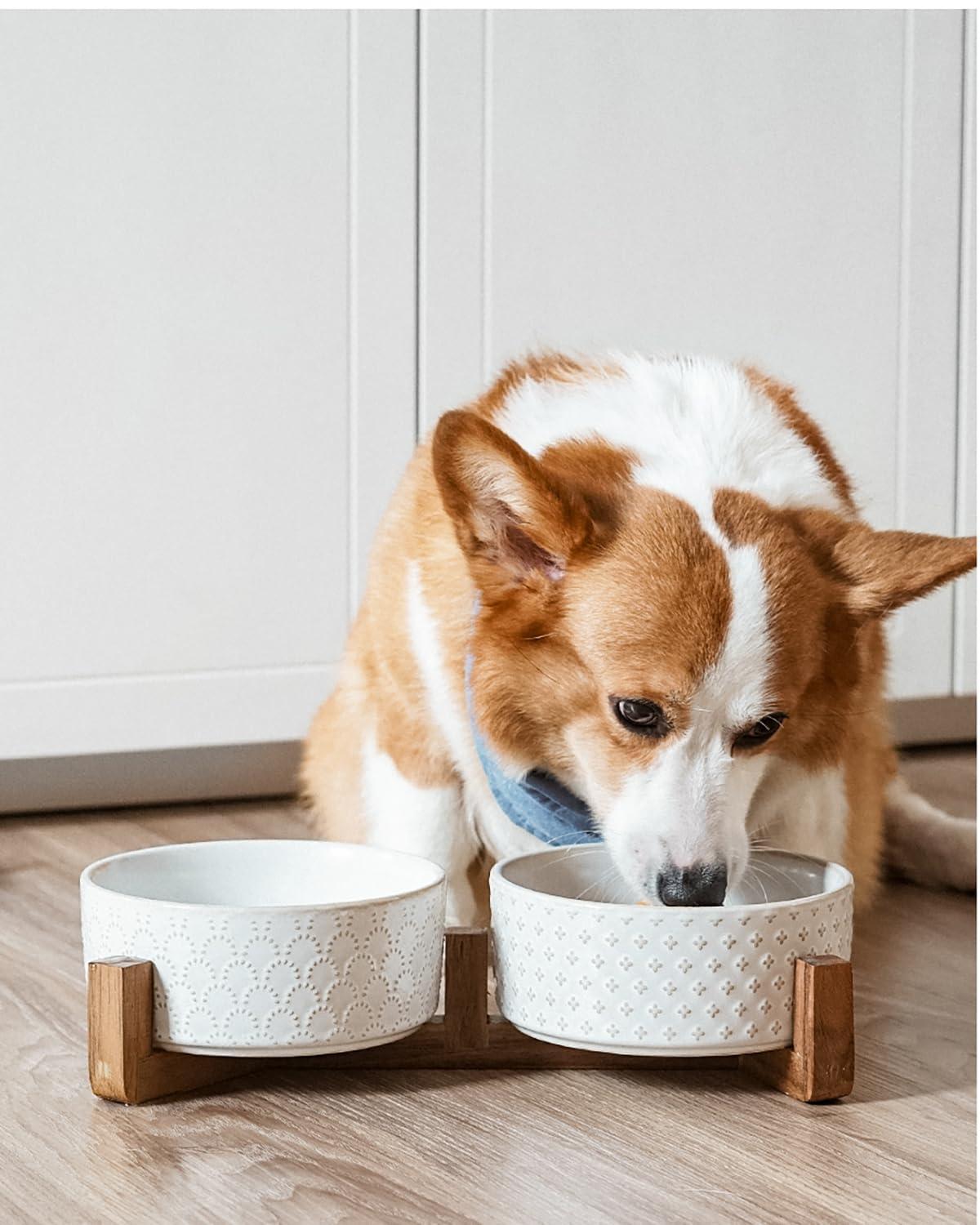 7 Inches Dog Food and Water Bowl