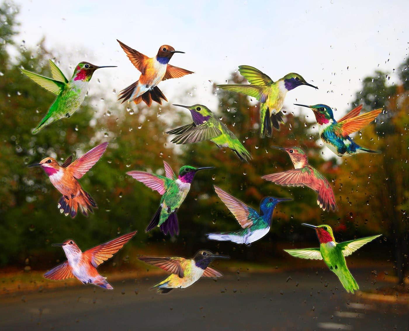 Petallo Anticolisión Window Se Pega, Calcomanías de Colibrí de Alerta Bird Resistente a Rayos UV, Rojo, 12 Piezas