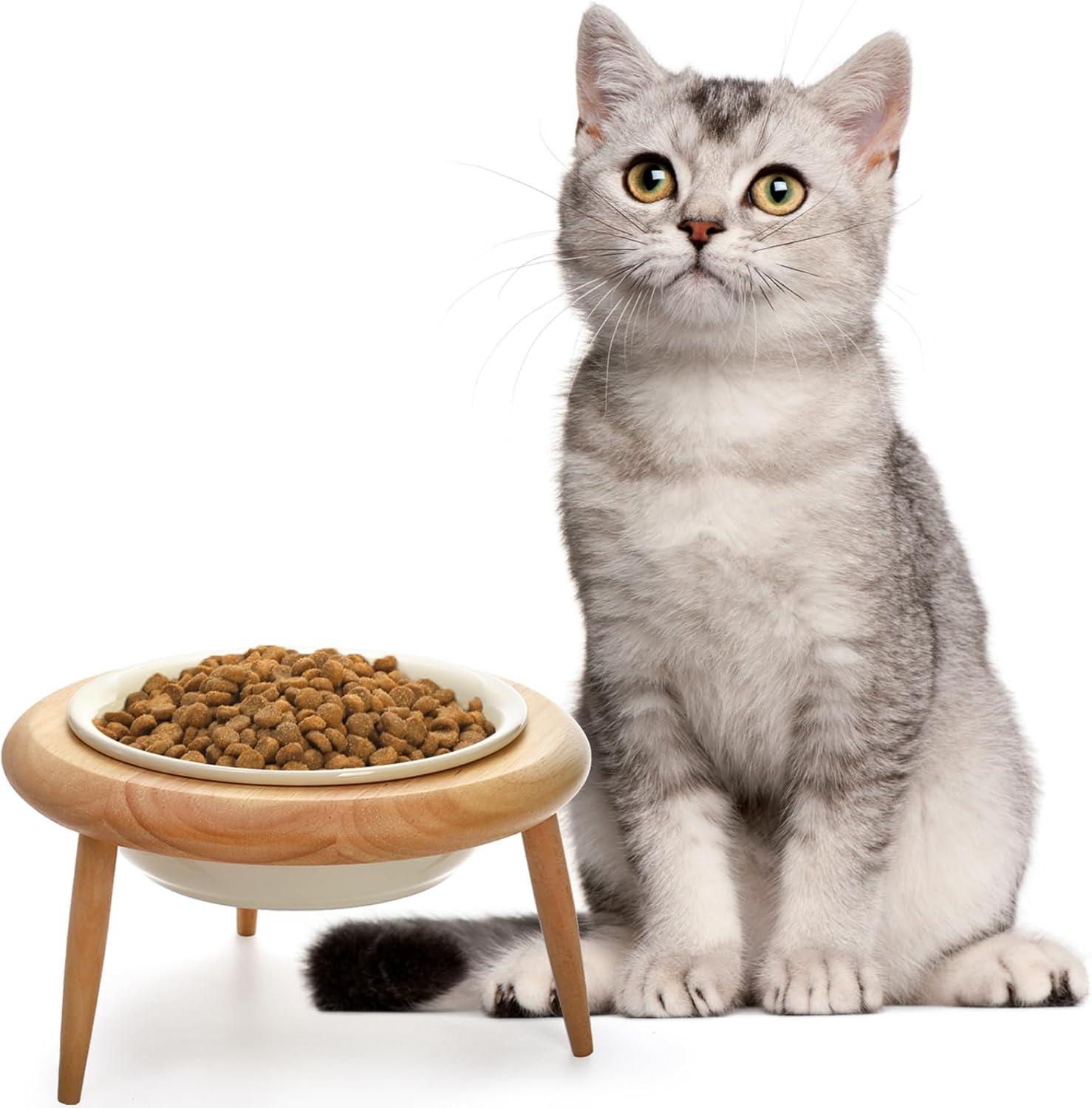 DEAYOU Ceramic Cat Bowl Adjustable, Tilted Elevated Raised Dish, No Spill Food Water Feeder, Slanted Dog Bowl with Wood Stand for Kitty, Supplies, Stress Free, 600 ML/20 OZ, Cream White C49