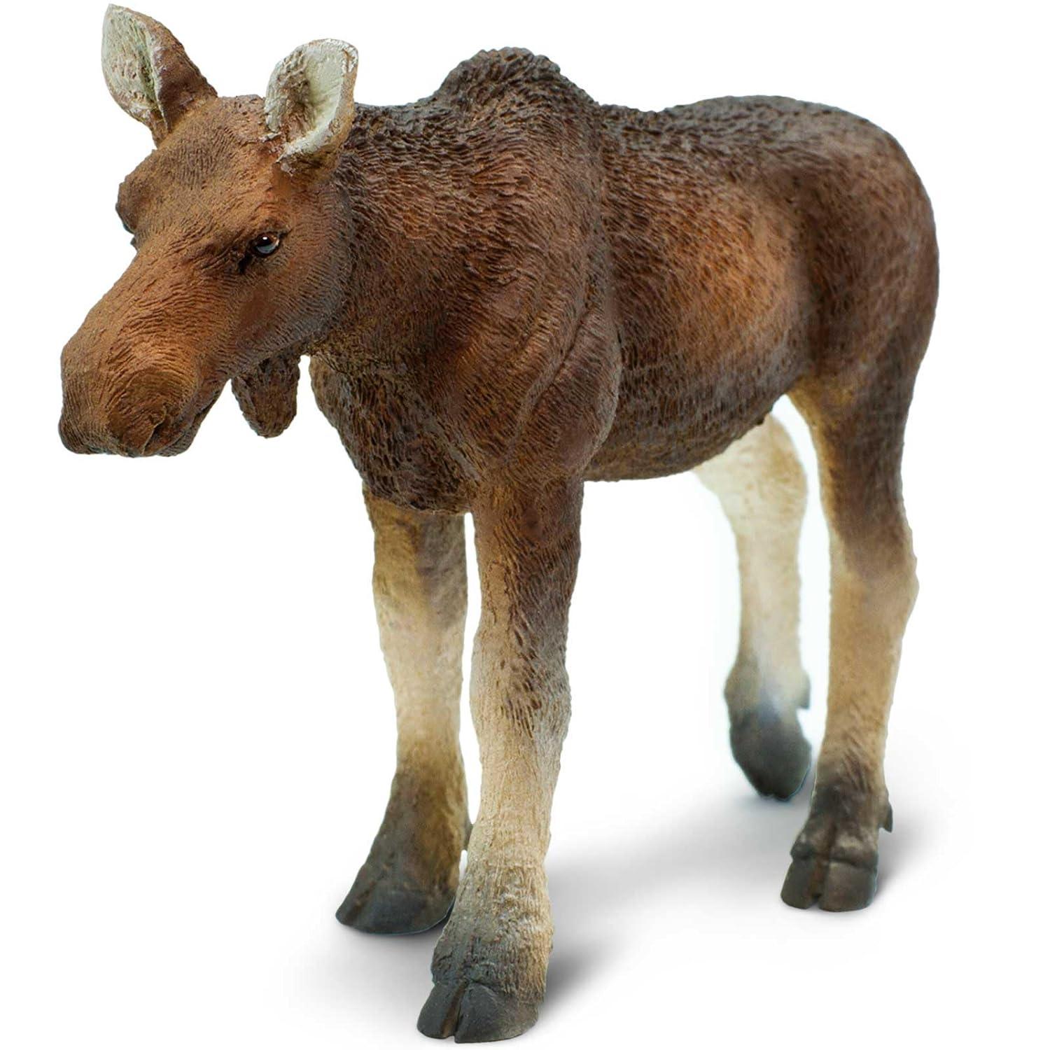 Safari Ltd. Cow Moose Figurine - Lifelike 4.5" Model Figure - Educational Toy for Boys, Girls, and Kids Ages 1+
