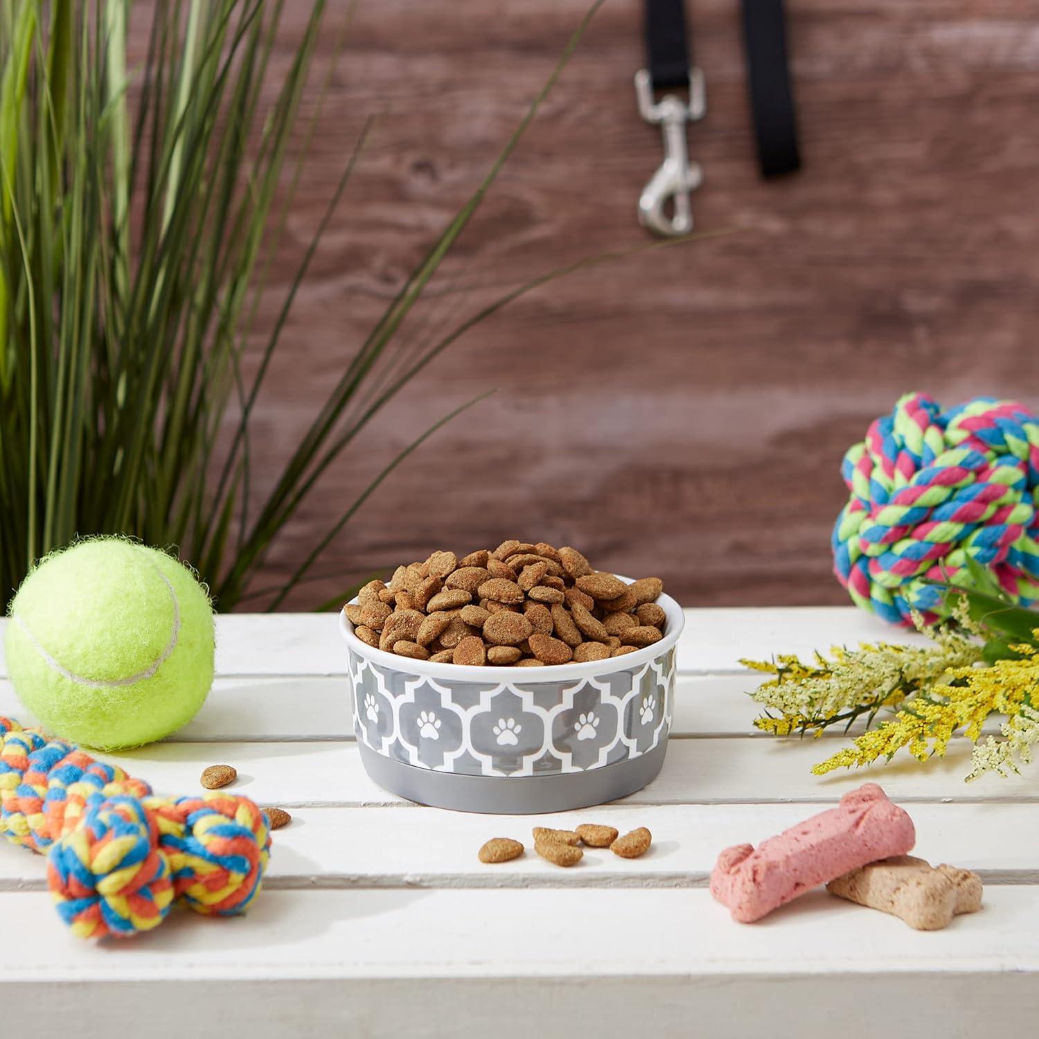 Design Imports Anti-Skid Pet Bowl