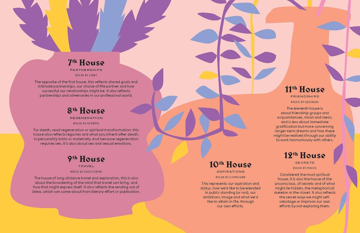 Virgo - (Hg Seeing Stars) by  Stella Andromeda (Hardcover)