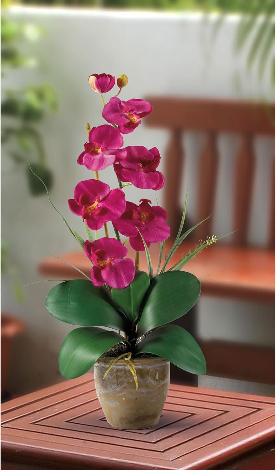 Vibrant Pink Artificial Phalaenopsis Orchid in Ceramic Pot