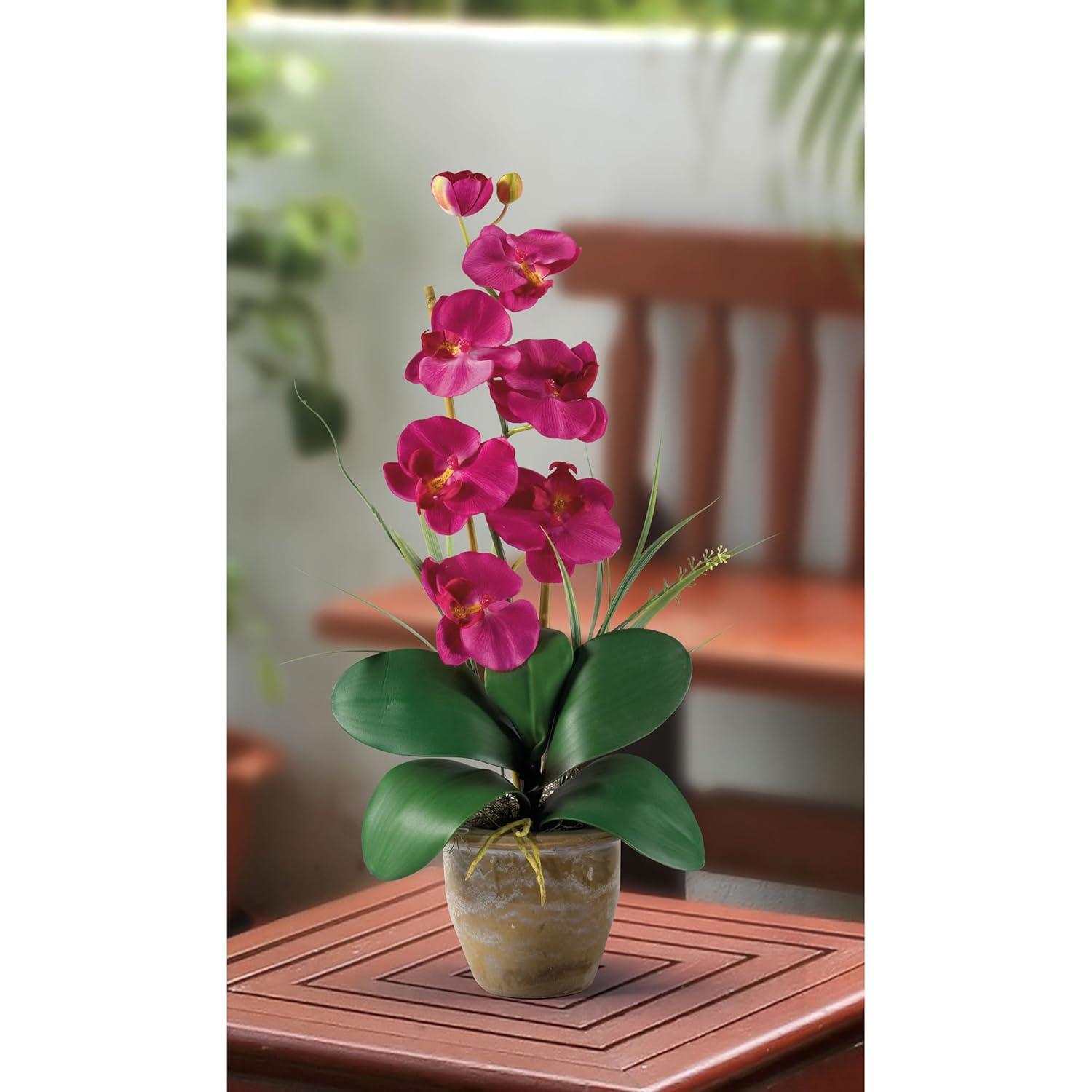 Nearly Natural Phalaenopsis Silk Orchid Flower Arrangement, Beauty