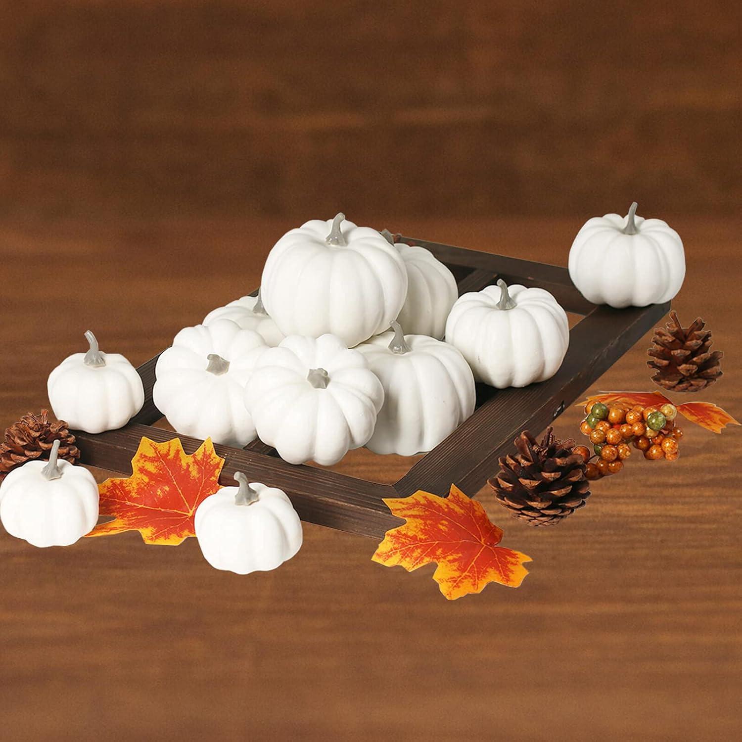 Bibana 12 Pack Artificial Assorted Pumpkins, Mini Fake Pumpkins Artificial Vegetables for Halloween,Harvest Thanksgiving Party Decor (White)