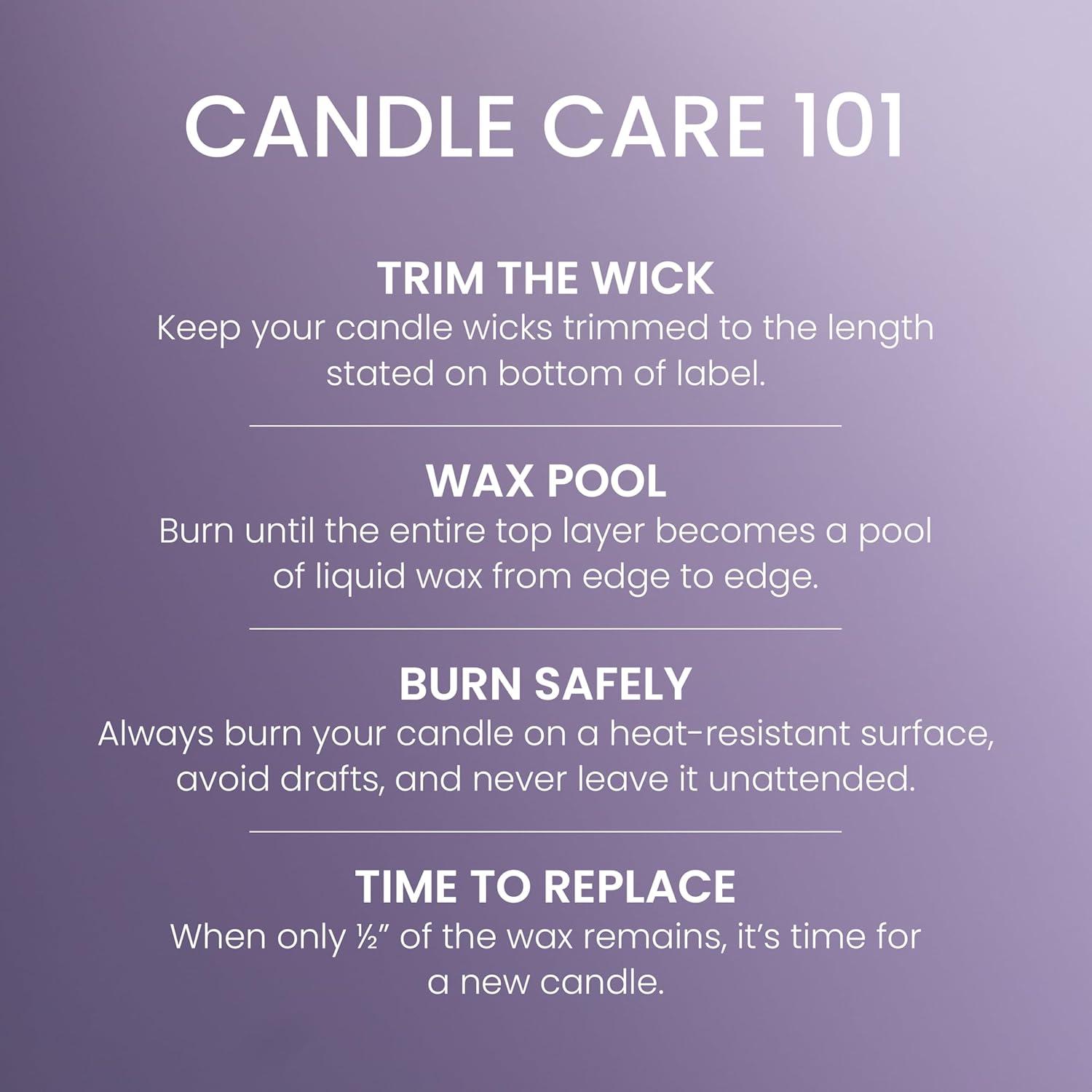 Yankee Candle Original Large Jar, Lavender Vanilla, 22 oz