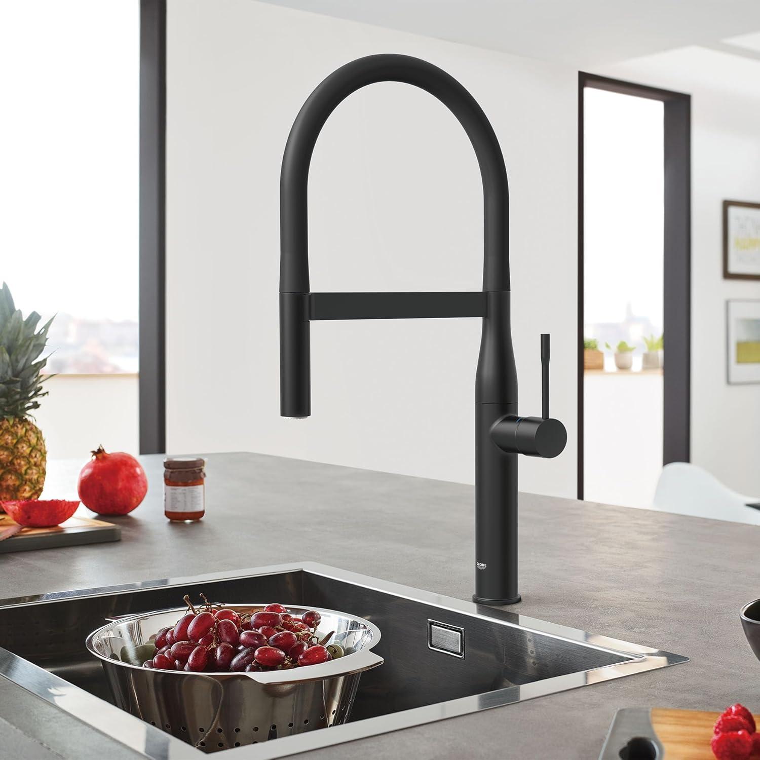 Essence New Single Handle Kitchen Faucet with SilkMove® and with Accessories