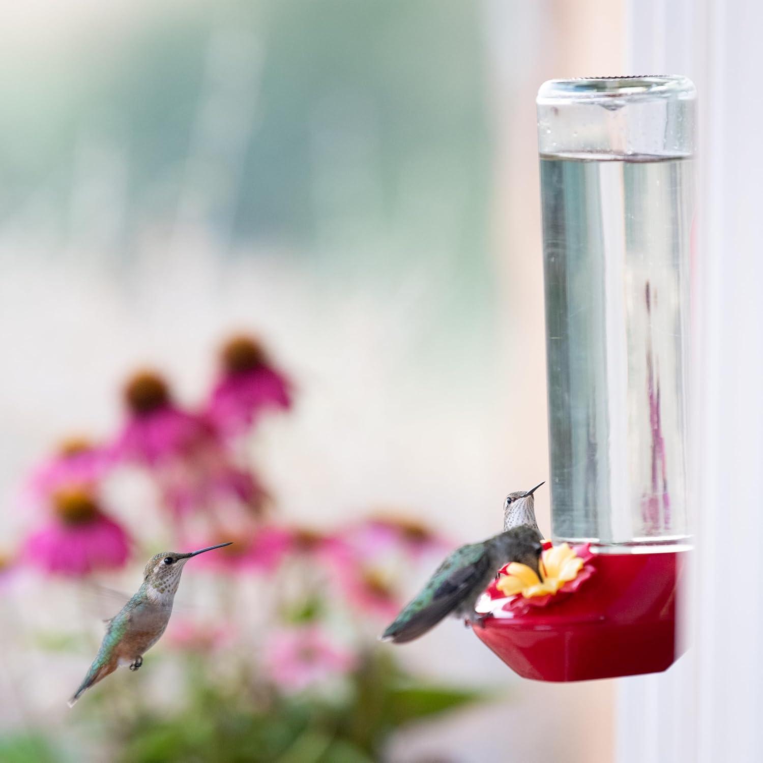 Perky-Pet 455-2 Mounted 445-2 Glass Window Hummingbird Feeder, Red – 14 oz