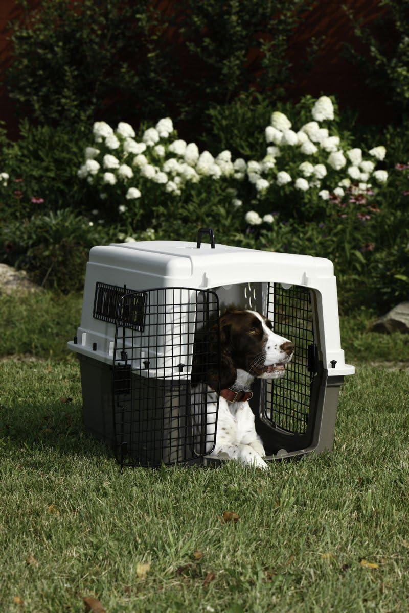 Pet Carrier