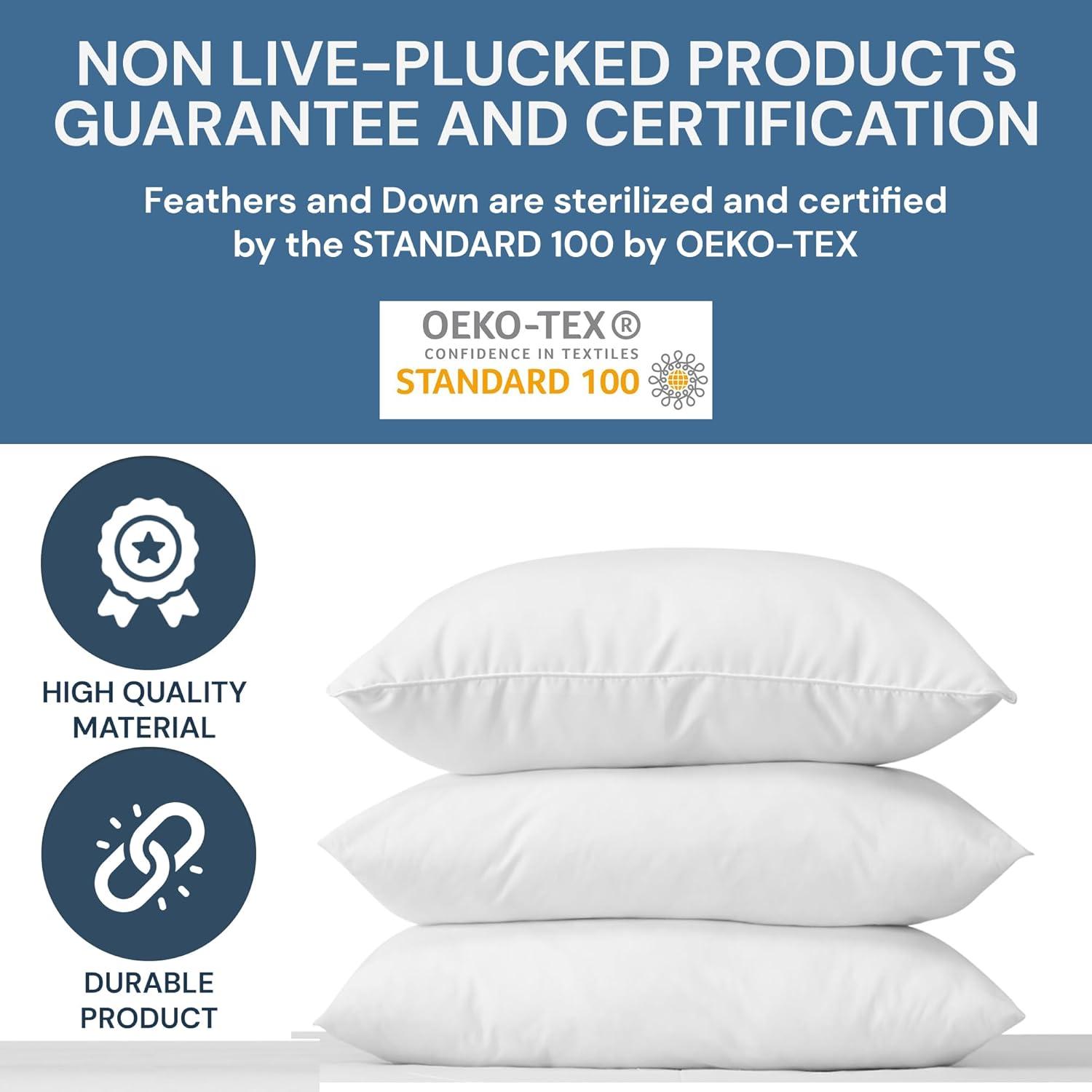 King Size White Feather and Down Bed Pillow Set