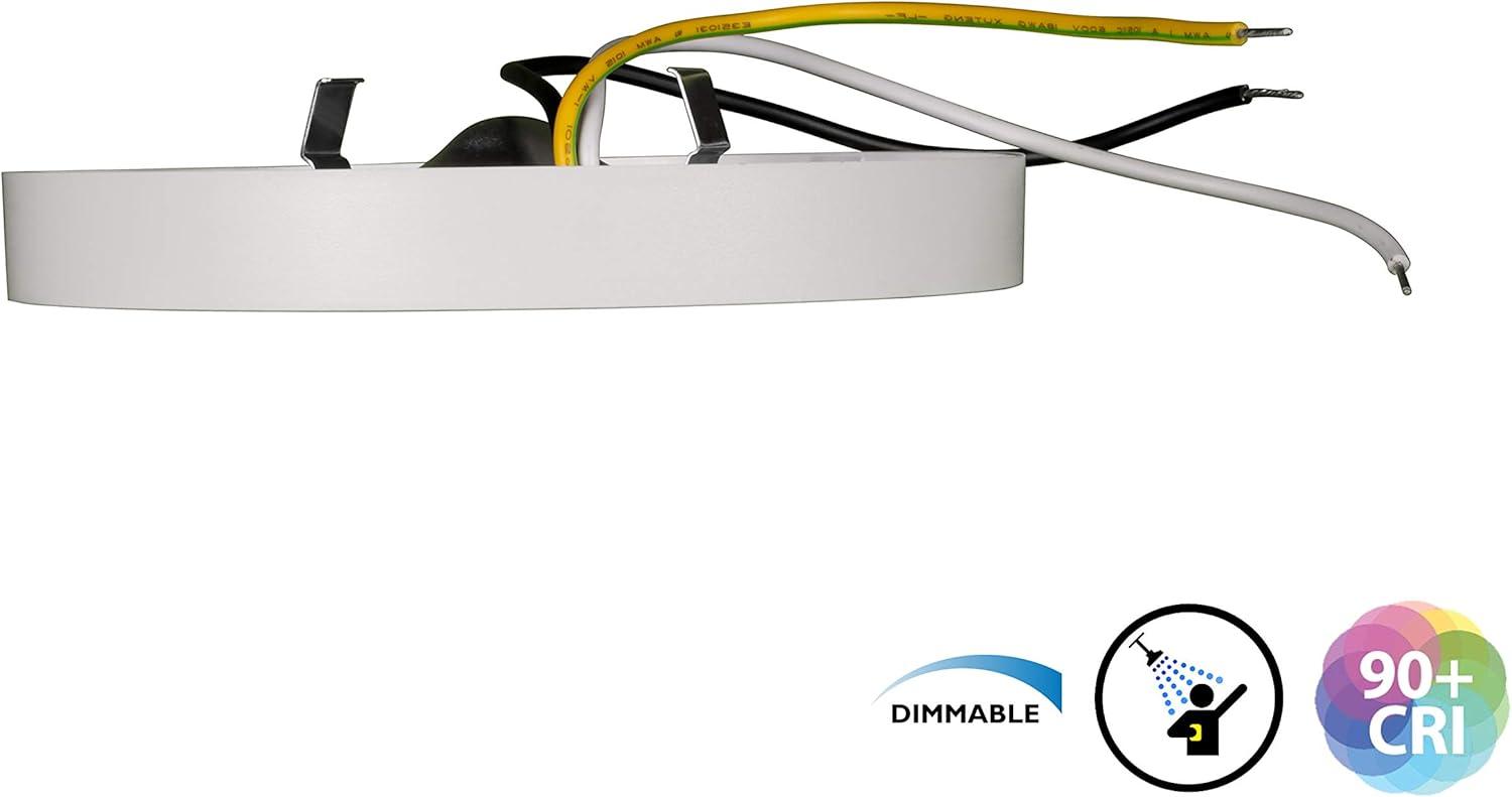 Dimmable Circle Flush Mount