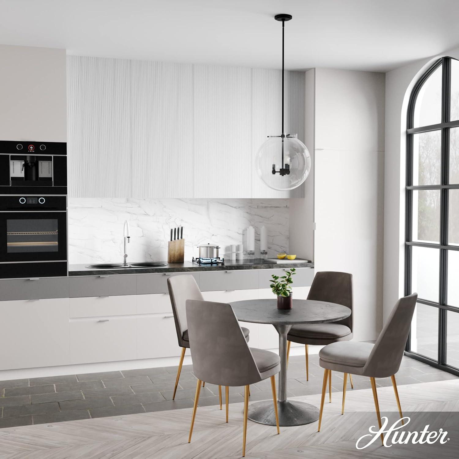 Hunter Fan Sacha 3 - Light Single Globe Pendant