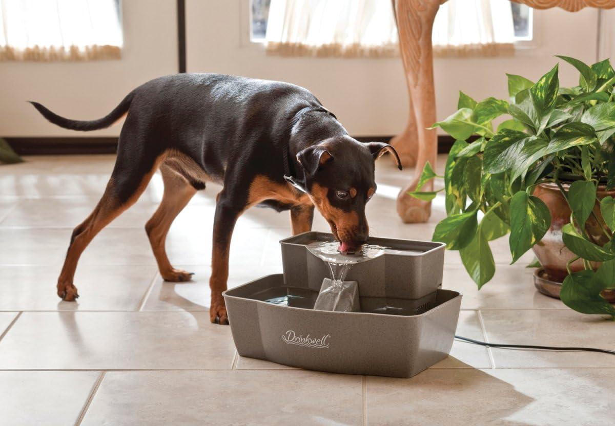 Gray Multi-Tier Automatic Pet Fountain for Cats and Dogs