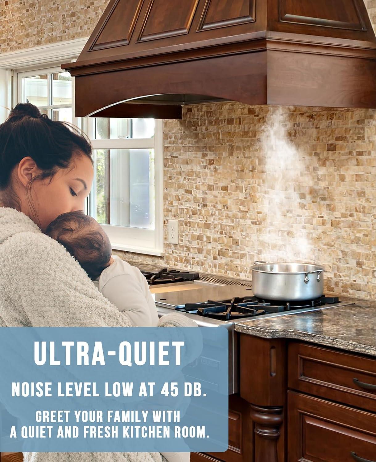 Akicon Akicon Stainless Steel 600 CFM Ducted (Vented) Insert Range Hood with Charcoal Filter