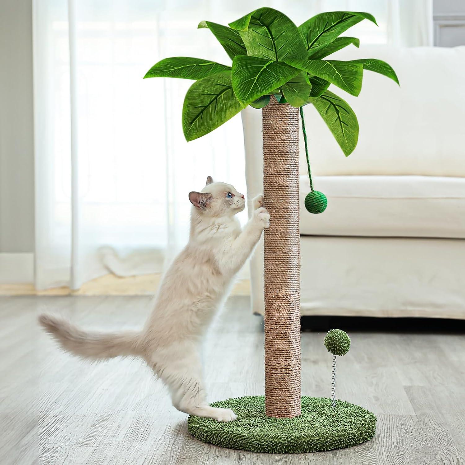 Dohump Cat Scratching Post, 26" Kitten Scratching Post with Premium Sisal Rope, Cute Cat Tree with Dangling and Spring Ball Toys for Indoor Small Cats