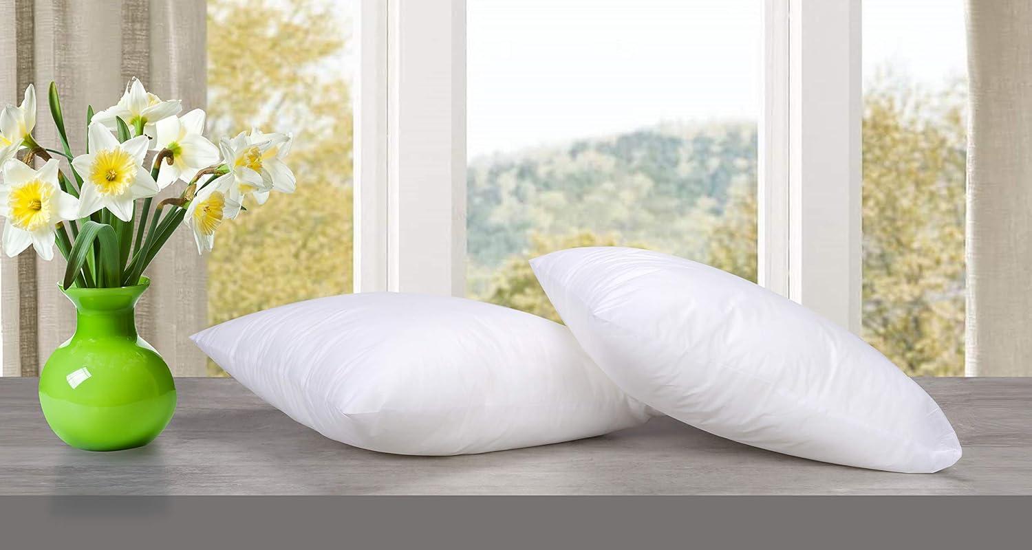 Throw Pillows Insert (Pack of 2, White) - 16 x 16 Inches Bed and Couch Pillows - Indoor Decorative Pillows