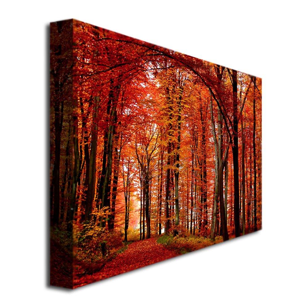 Trademark Art "The Red Way" Canvas Art by Philippe Sainte-Laudy