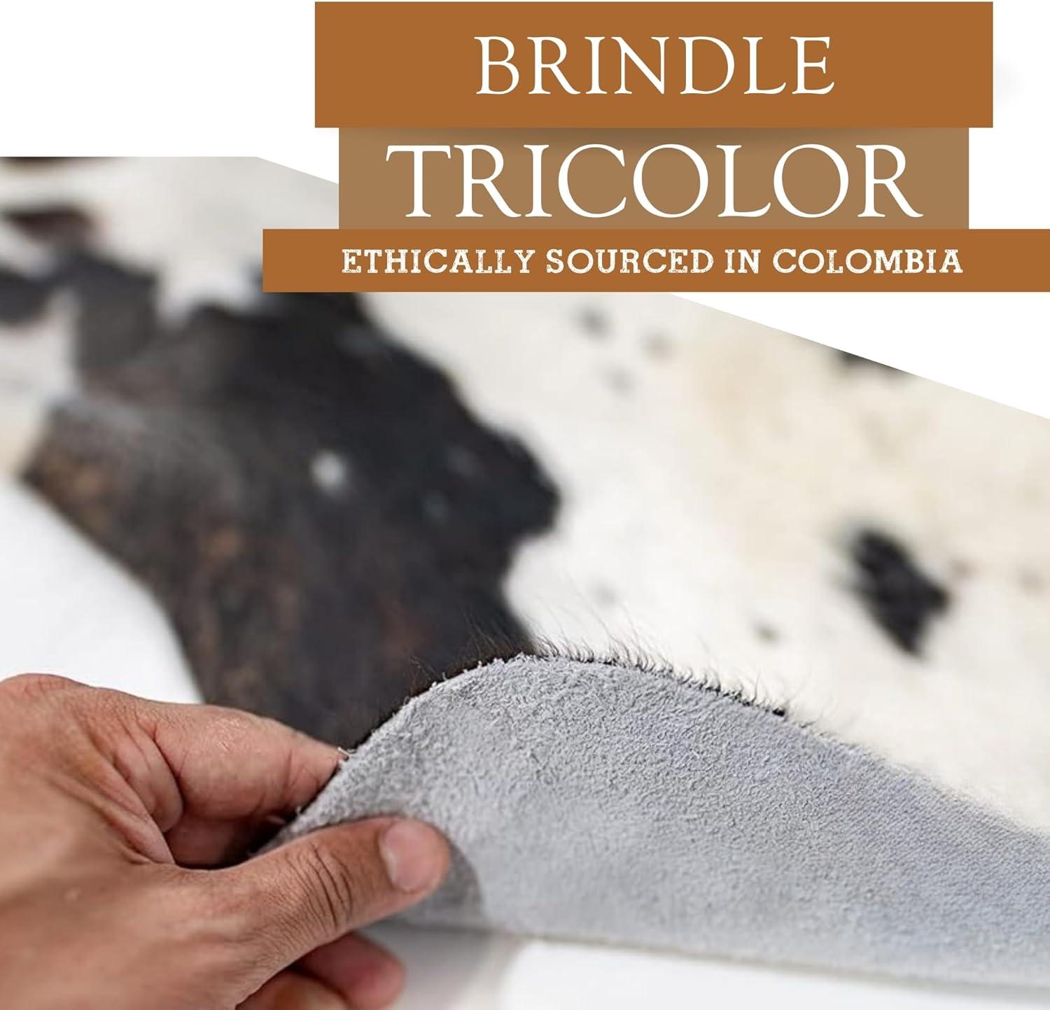 Extra Large Tricolor Genuine Cowhide Rug for Modern Decor