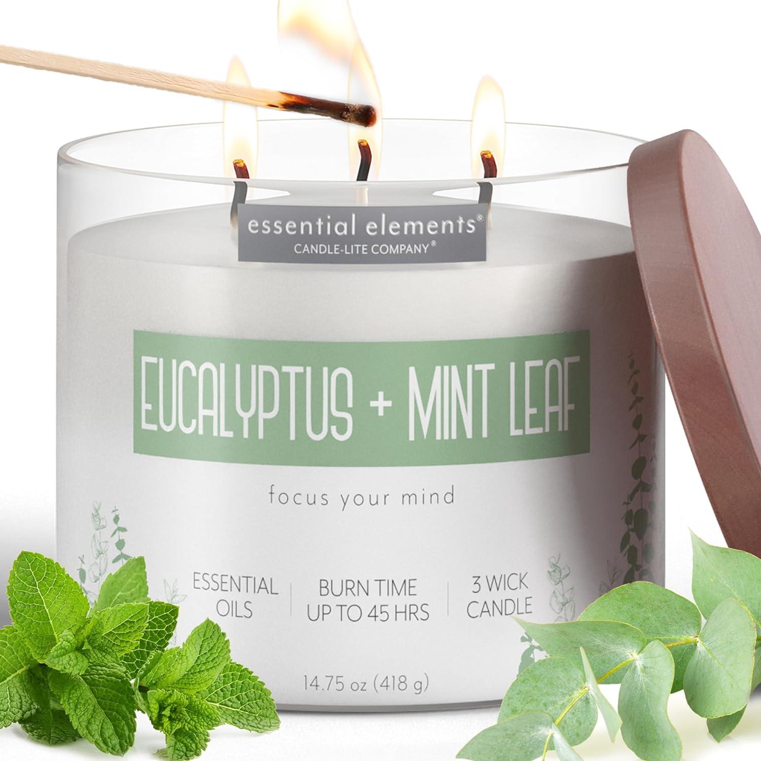 Ivory Soy Eucalyptus & Mint Leaf Scented Jar Candle